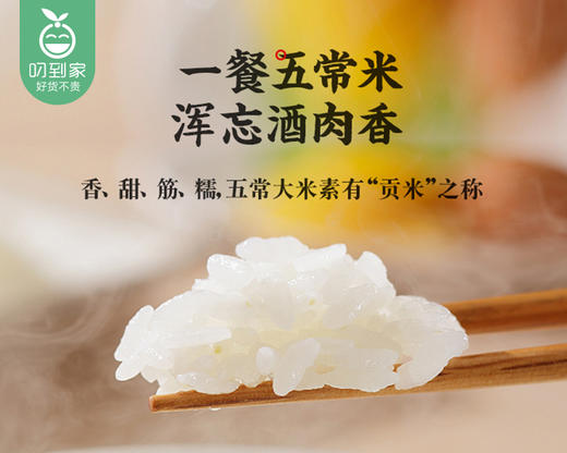 乔府大院五优香米（5kg/袋）生产日期:2月 商品图1