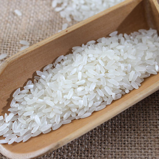 【疫情管控地区停发】米妹妹五常稻花香大米（清香型）5kg 商品图2