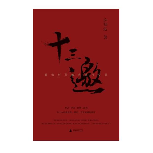 十三邀：我们时代的头脑与心灵 （全四辑）许知远 十三邀   明星 文化名人  广西师范大学出版社 商品图2