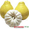 【全国包邮】广东梅州金柚------梅州沙田柚（72小时内发货） 商品缩略图2