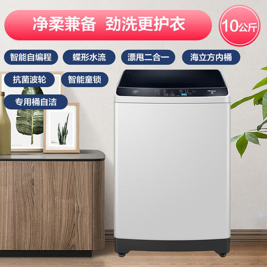 海尔（Haier）洗衣机EB100Z129 商品图1