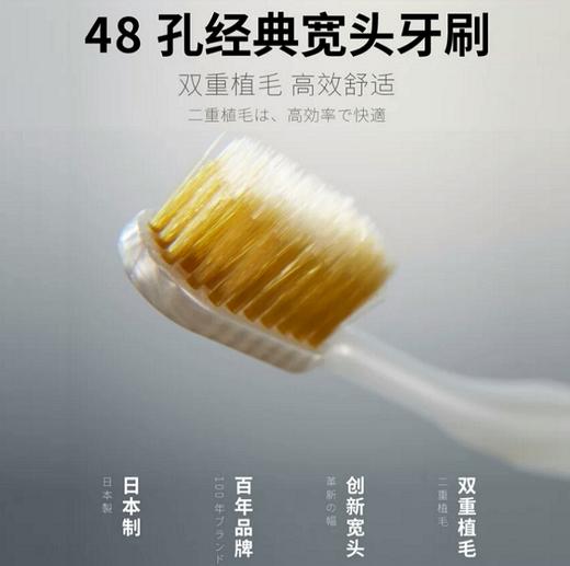 惠百施宽幅成人牙刷81号（软毛） 商品图3
