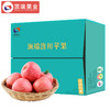 年供款【给远方的父母或者在外上学孩子的礼物】洛川苹果全年月供40枚80mm中大果  附赠品 商品缩略图0