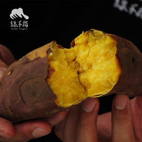 有机河南红薯（中通，品种新香）  | 合作生产 *Organic sweet potato | Coproduction
