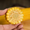 绿色食品~【绿塔玉米-黏糯香甜】10根/20根，软糯飘香 商品缩略图1