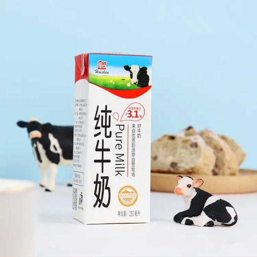 辉山纯牛奶【250ml*12盒/箱】 商品图1