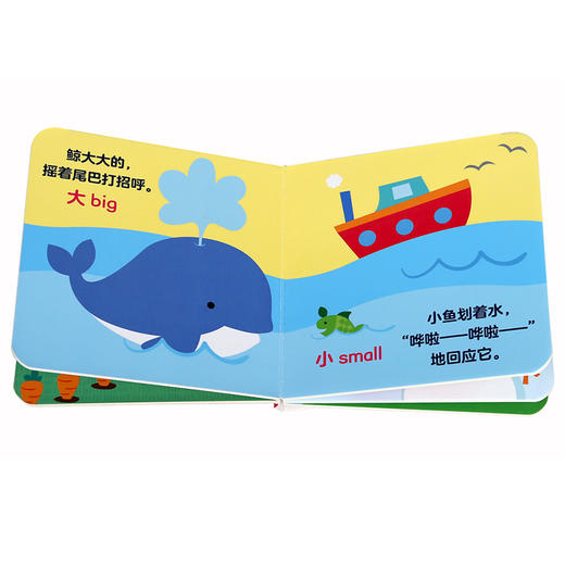乐乐趣-0~2岁宝贝认知口袋书（8本 套号） 商品图2