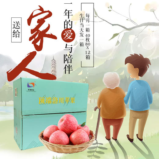 年供款【给远方的父母或者在外上学孩子的礼物】洛川苹果全年月供40枚80mm中大果  附赠品 商品图5