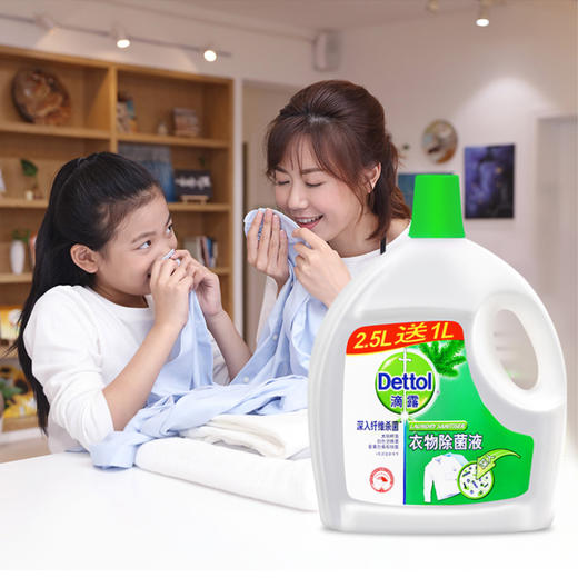 滴露衣物除菌液2.5L 商品图2