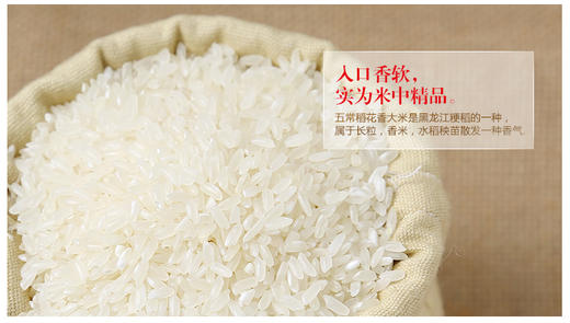 稻花香 商品图2