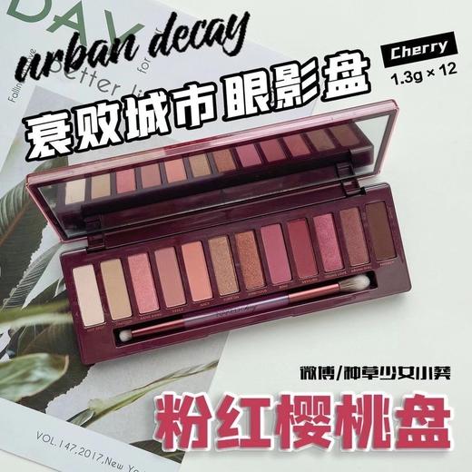 衰败城市眼影盘 商品图2