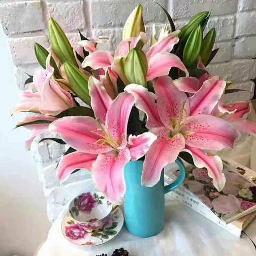 粉百合索邦头3️⃣头 商品图0