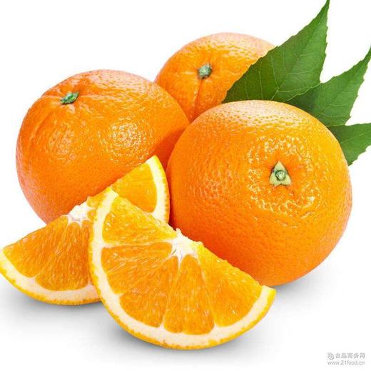 纽荷尔橙约500+50g 商品图2