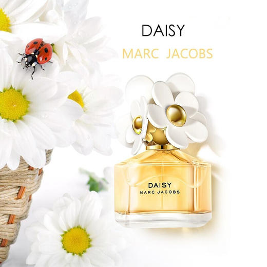 Daisy马克雅克布小雏菊黑色50ml 商品图2