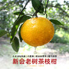 2025年新会陈皮茶枝柑天马圈枝二红皮新鲜柑皮正宗特产 商品缩略图1