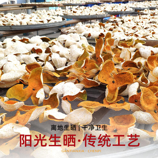 2025年新会陈皮茶枝柑天马圈枝二红皮新鲜柑皮正宗特产 商品图2