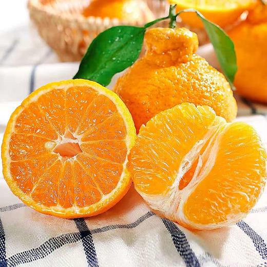 四川不知火丑橘带箱10斤桔子新鲜当季时令水果丑八怪橘子蜜柑整箱包邮