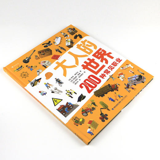 大人的世界：200种常见职业  浪花朵朵  后浪出版 商品图6