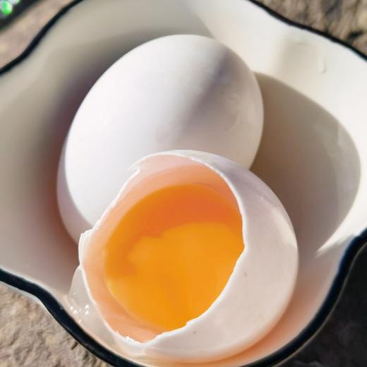 农家生态散养连城白鹭鸭蛋30枚装