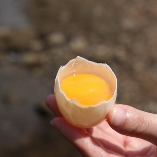 农家生态散养连城白鹭鸭蛋30枚装