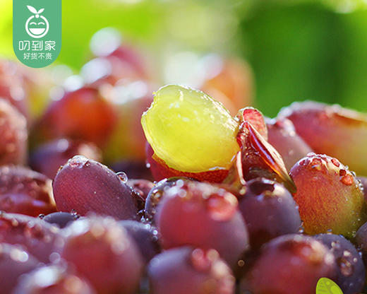 云南茉莉香无籽提/1盒（约500g±50g） 商品图1