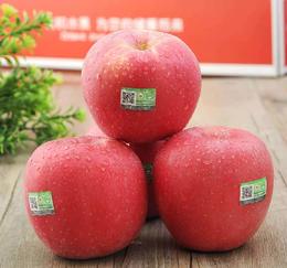 丨有机丨红富士苹果带箱10斤 乐之然苹果基地，山西吉县