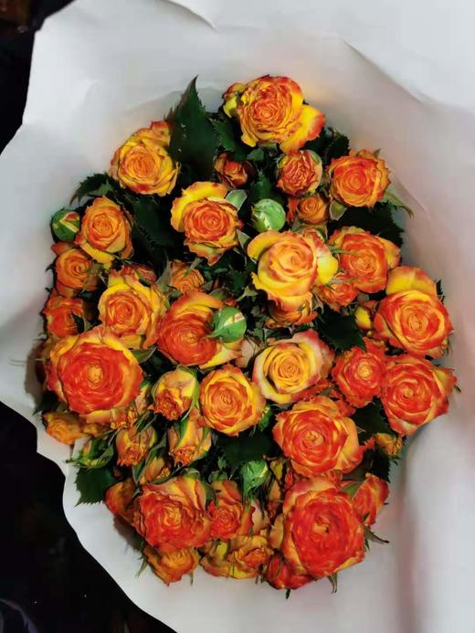 多头玫瑰·眼线 商品图0