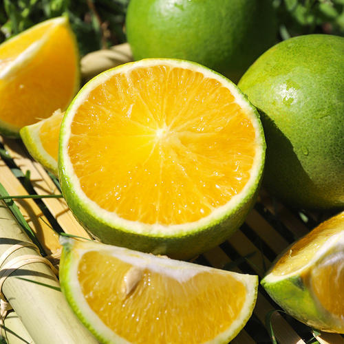 冰糖橙约500g 商品图0