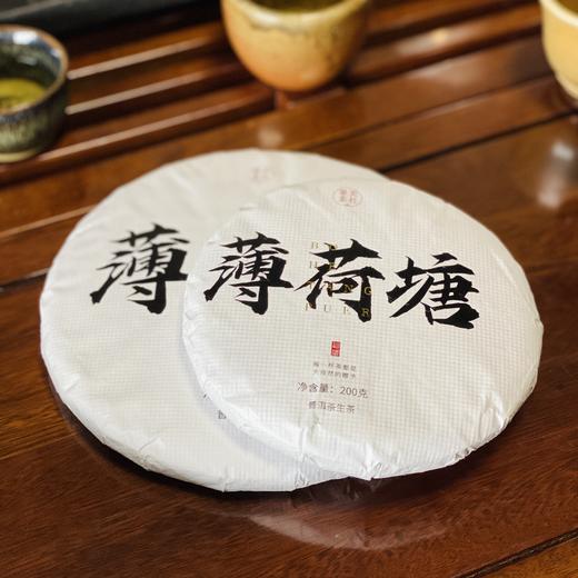 【2019薄荷塘】易武精微产区，清凉感喉韵深刻 商品图1