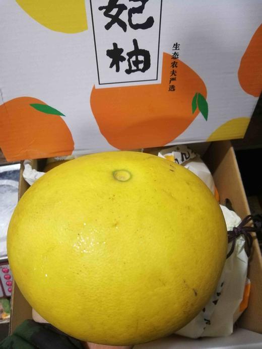 杰龙玉环香妃柚1箱毛重12斤左右