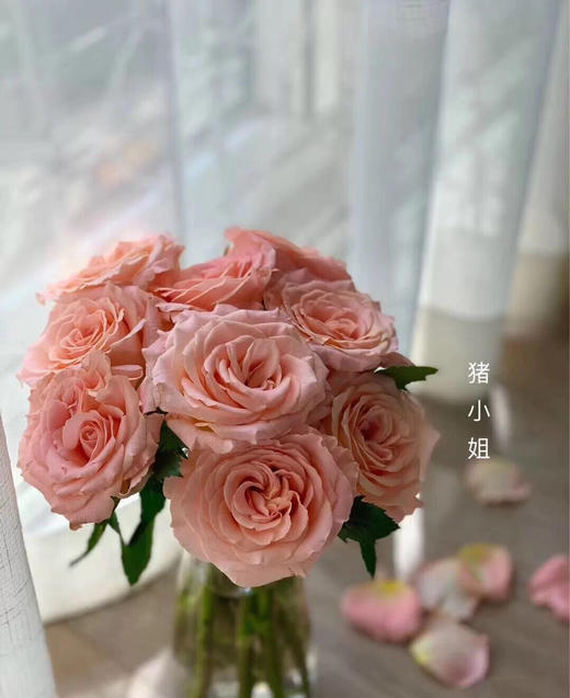 猪小姐玫瑰混批20扎起发