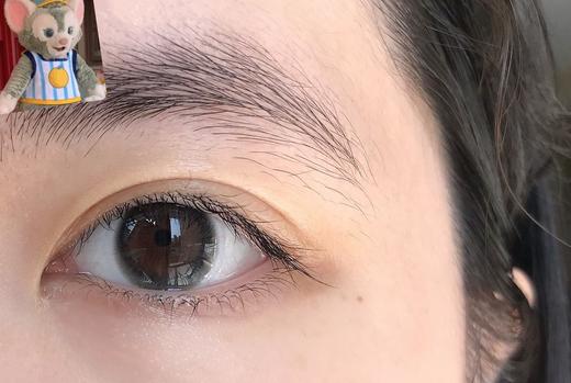 Deekay旗下 · DK334 maybe gray 茶灰｜白狮模特单反实拍｜年抛 14.0mm小直径 商品图4