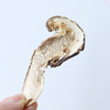 野生松茸干片 | 合作生产 * Wild Matsutake dry plate | Coproduction 商品缩略图4