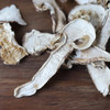 野生松茸干片 | 合作生产 * Wild Matsutake dry plate | Coproduction 商品缩略图3
