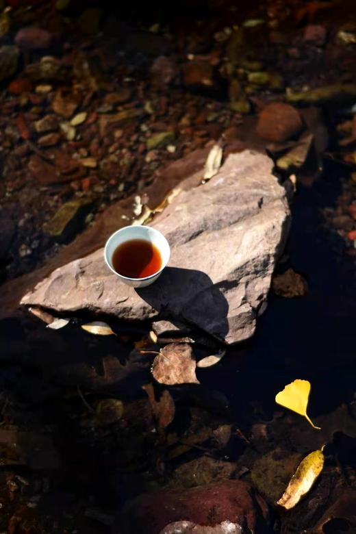 2013年珍贵老黑茶—广西六堡茶 商品图5