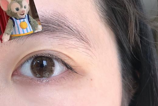 Deekay旗下 · DK335 maybe brown 茶棕色系｜深瞳变浅瞳｜年抛 14.0mm 小直径 商品图2