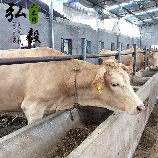 【弘毅六不用生态农场】生态牛肉 自产饲料喂养  3斤 顺丰包邮（除偏远地区外） 商品图2