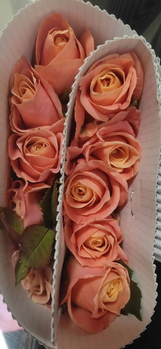 猪小姐玫瑰混批20扎起发