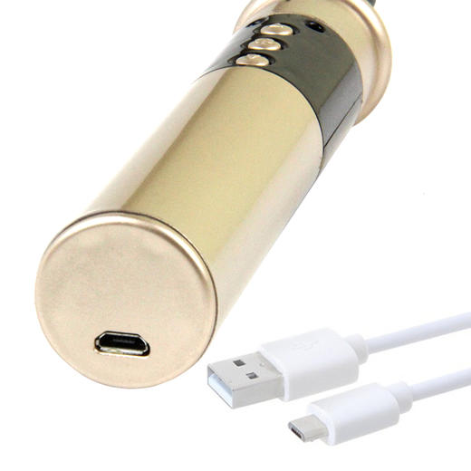 roomfun房趣电击情趣产品电子脉冲皮鞭散鞭拍S M情趣用品调教女王 商品图4