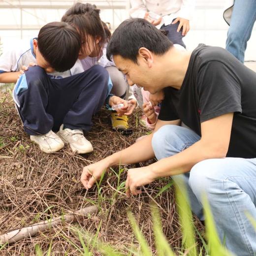 昆虫特工队（标本制作&实地考察） | 农园活动*Search for insect in the farm | Farm activities 商品图2