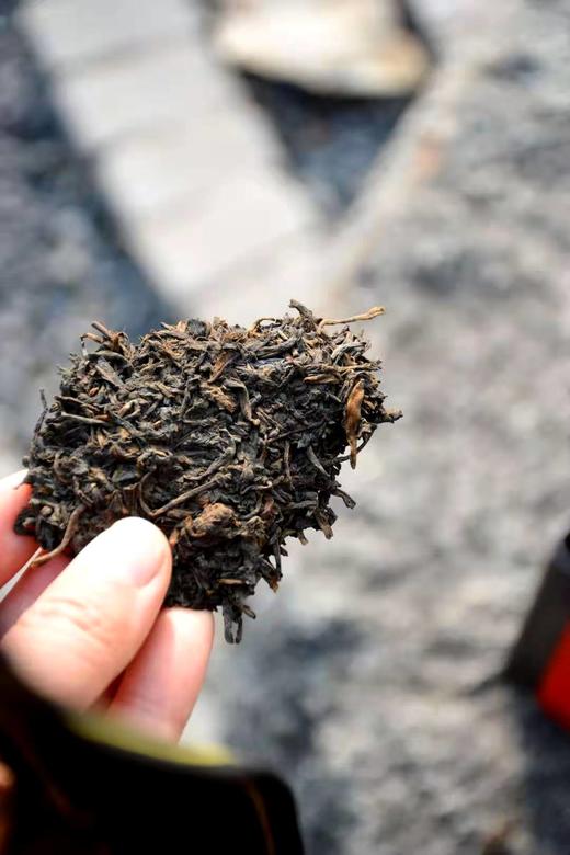 2013年珍贵老黑茶—广西六堡茶 商品图1