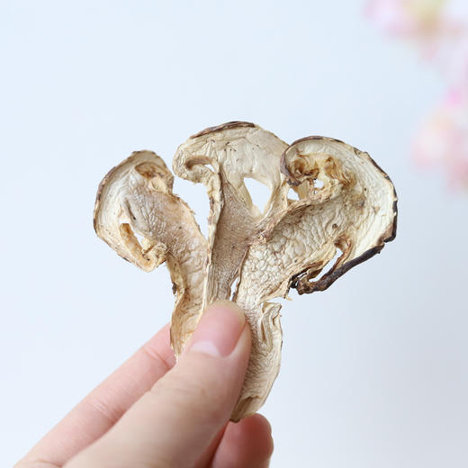 野生松茸干片 | 合作生产 * Wild Matsutake dry plate | Coproduction 商品图2