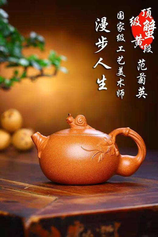 【漫步人生】泥料:蟹黄段 容量:200cc 作者:范菊英(国工)