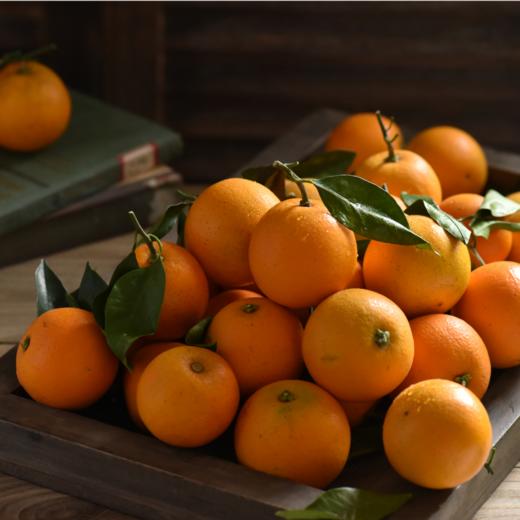 麻阳冰糖橙 | 今年的口感比往年更甜 商品图6