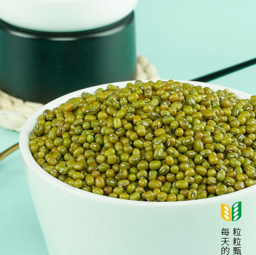 素食猫特产小明绿豆400g*3 商品图3