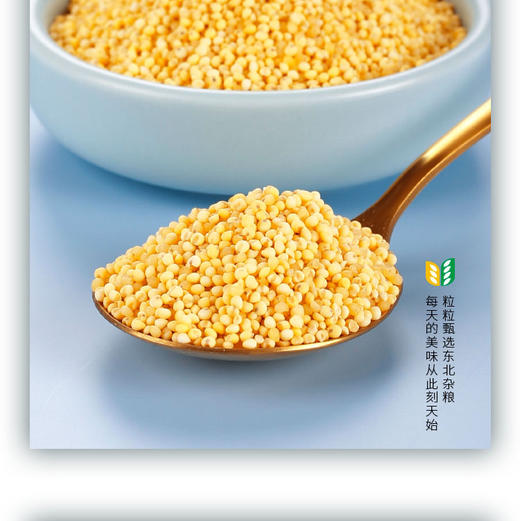 素食猫特产大黄米400g*3 商品图1