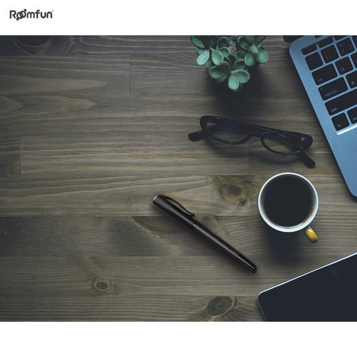 美国房趣roomfun S-M不锈钢刺轮钢笔刺轮夫妻惩罚情侣调教辅助工具情趣性用品 商品图4