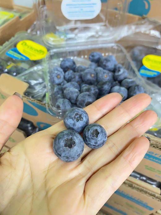 周日取货：【怡颗莓蓝莓】护眼神器！甜蜜无酸！果粉超足，蓝莓香味超浓！ 商品图0