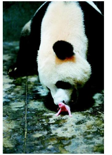 测试详情002 商品图2