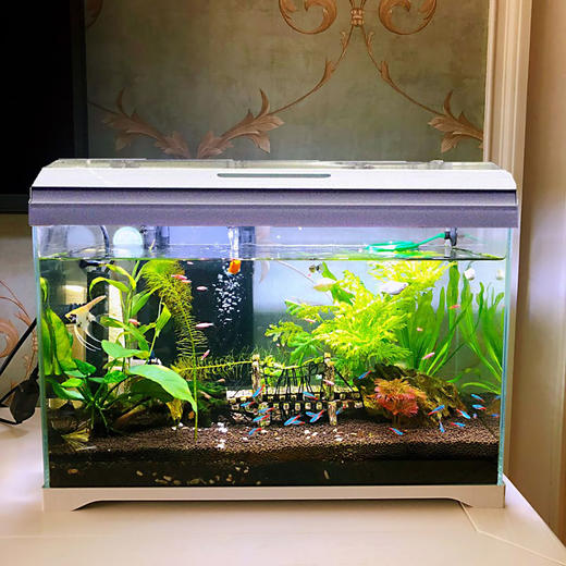 森森超白自循环小鱼缸桌面生态玻璃缸水族箱水草缸客厅造景金鱼缸 商品图0